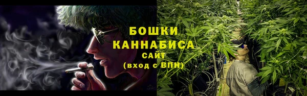 бошки Белокуриха