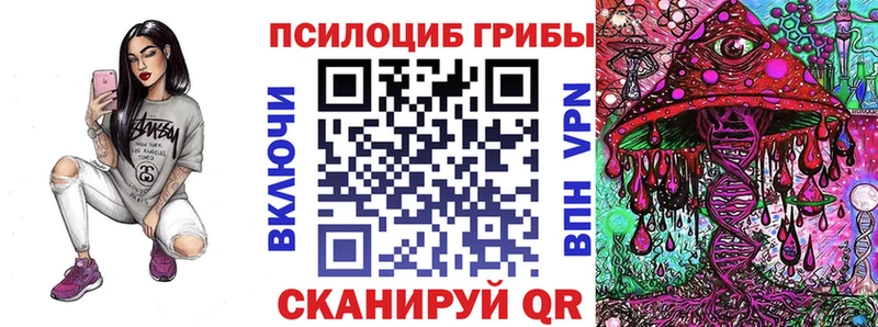 Галлюциногенные грибы MAGIC MUSHROOMS  нарко площадка Telegram  Купино 