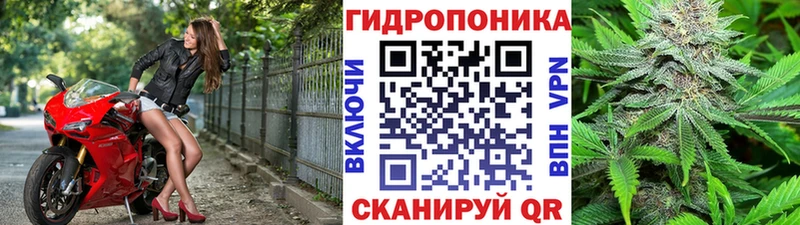 купить цена Купино Бошки Шишки Ganja